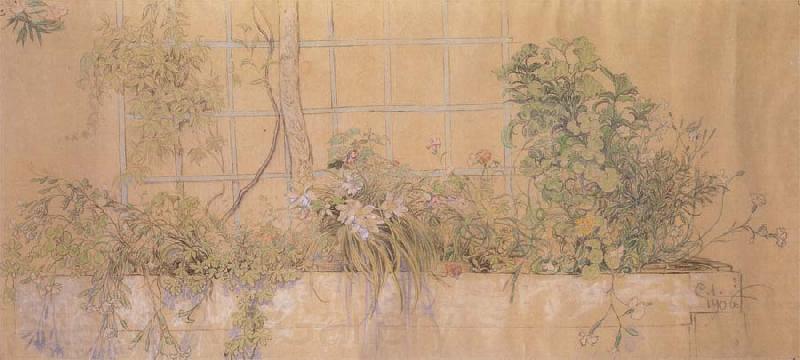 Carl Larsson Flower Bed France oil painting art